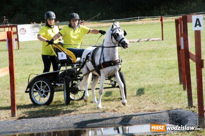 Zdjęcie w galerii na portalu naszwodzislaw.com: W Gorzycach odbywają się drugie Amatorskie Zawody w Powożeniu Zaprzęgami Konnymi wiadomości z regionu