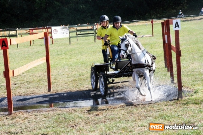 Zdjęcie w galerii na portalu naszwodzislaw.com: W Gorzycach odbywają się drugie Amatorskie Zawody w Powożeniu Zaprzęgami Konnymi wiadomości z regionu