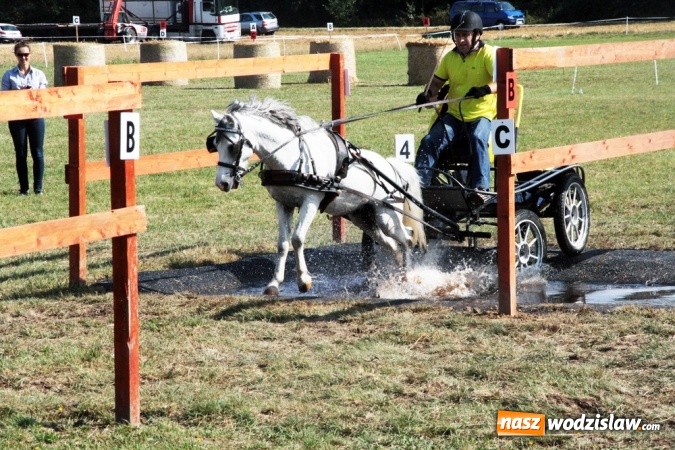 Zdjęcie w galerii na portalu naszwodzislaw.com: W Gorzycach odbywają się drugie Amatorskie Zawody w Powożeniu Zaprzęgami Konnymi wiadomości z regionu