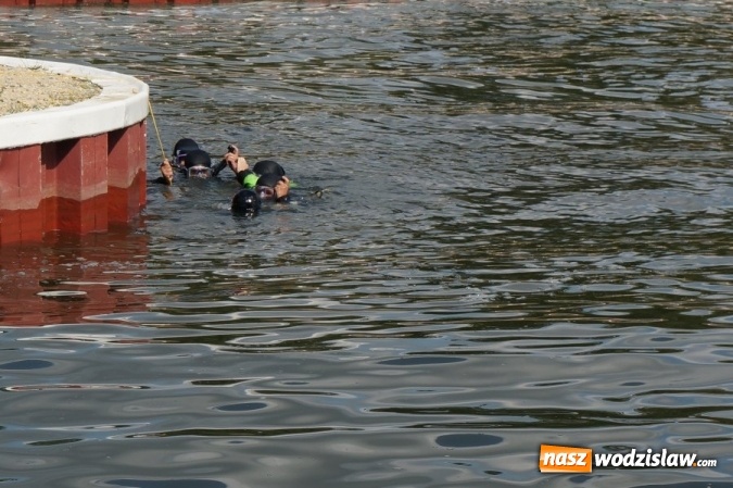 Zdjęcie w galerii na portalu naszwodzislaw.com: Śląska policja pokazała jak zwalcza terrorystów wiadomości z regionu