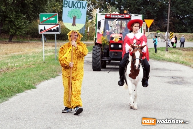 Zdjęcie w galerii na portalu naszwodzislaw.com: Ogromny korow&oacute;d dożynkowy w Bukowie wiadomości z regionu