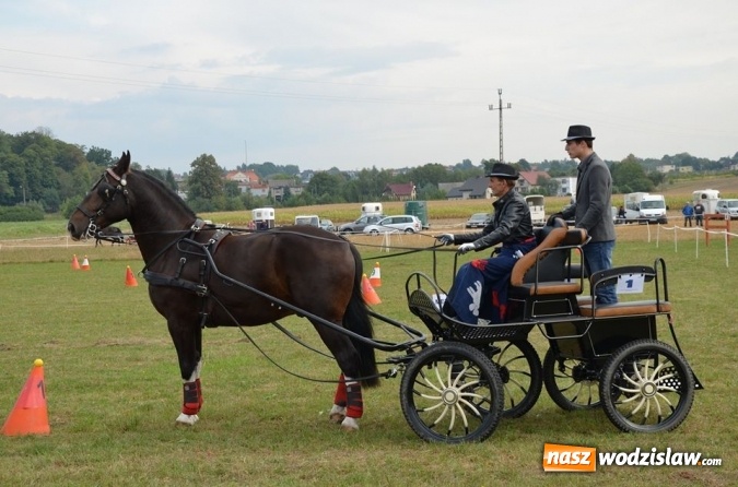 Zdjęcie w galerii na portalu naszwodzislaw.com: Widowiskowe zawody w powożeniu zaprzęgami konnymi za nami wiadomości z regionu
