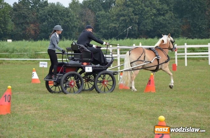 Zdjęcie w galerii na portalu naszwodzislaw.com: Widowiskowe zawody w powożeniu zaprzęgami konnymi za nami wiadomości z regionu
