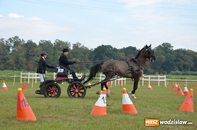 Zdjęcie w galerii na portalu naszwodzislaw.com: Widowiskowe zawody w powożeniu zaprzęgami konnymi za nami wiadomości z regionu