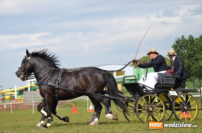 Zdjęcie w galerii na portalu naszwodzislaw.com: Widowiskowe zawody w powożeniu zaprzęgami konnymi za nami wiadomości z regionu