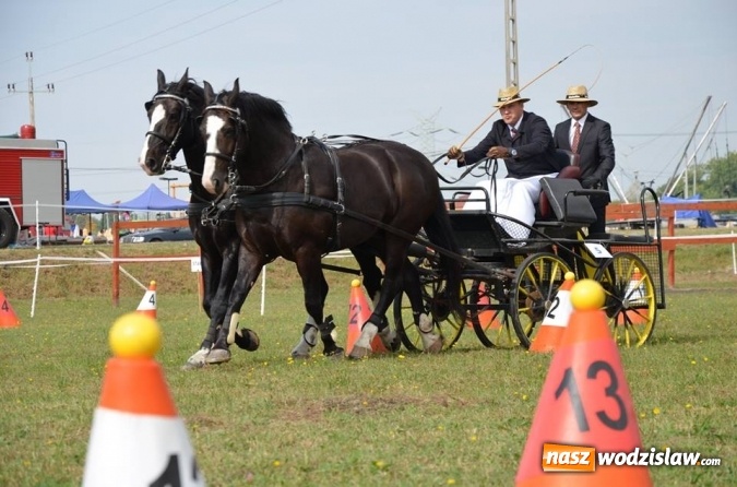 Zdjęcie w galerii na portalu naszwodzislaw.com: Widowiskowe zawody w powożeniu zaprzęgami konnymi za nami wiadomości z regionu