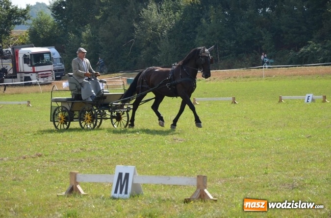 Zdjęcie w galerii na portalu naszwodzislaw.com: Widowiskowe zawody w powożeniu zaprzęgami konnymi za nami wiadomości z regionu