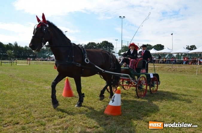 Zdjęcie w galerii na portalu naszwodzislaw.com: Widowiskowe zawody w powożeniu zaprzęgami konnymi za nami wiadomości z regionu