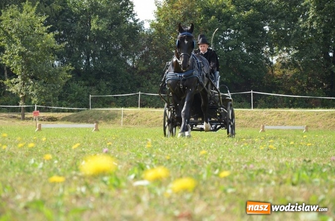 Zdjęcie w galerii na portalu naszwodzislaw.com: Widowiskowe zawody w powożeniu zaprzęgami konnymi za nami wiadomości z regionu