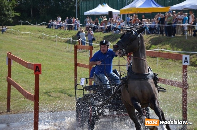 Zdjęcie w galerii na portalu naszwodzislaw.com: Widowiskowe zawody w powożeniu zaprzęgami konnymi za nami wiadomości z regionu