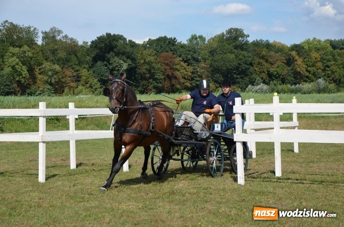 Zdjęcie w galerii na portalu naszwodzislaw.com: Widowiskowe zawody w powożeniu zaprzęgami konnymi za nami wiadomości z regionu