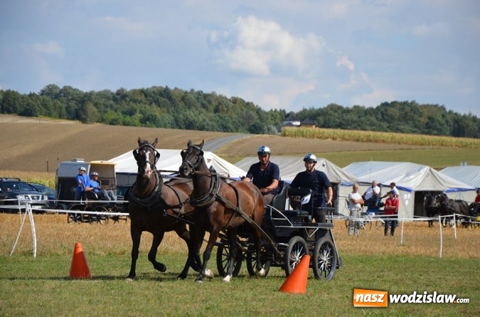 Zdjęcie w galerii na portalu naszwodzislaw.com: Widowiskowe zawody w powożeniu zaprzęgami konnymi za nami wiadomości z regionu