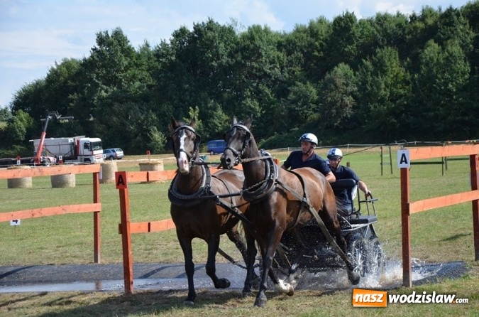 Zdjęcie w galerii na portalu naszwodzislaw.com: Widowiskowe zawody w powożeniu zaprzęgami konnymi za nami wiadomości z regionu