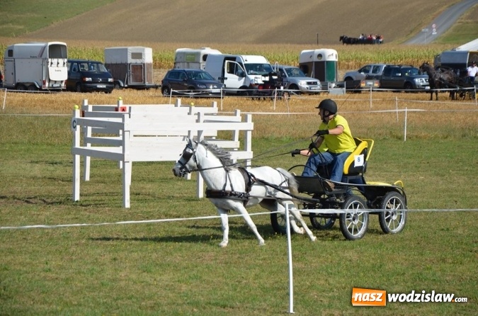 Zdjęcie w galerii na portalu naszwodzislaw.com: Widowiskowe zawody w powożeniu zaprzęgami konnymi za nami wiadomości z regionu