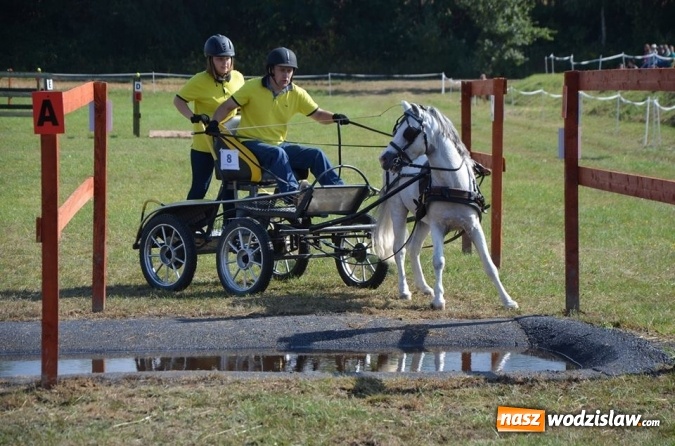 Zdjęcie w galerii na portalu naszwodzislaw.com: Widowiskowe zawody w powożeniu zaprzęgami konnymi za nami wiadomości z regionu