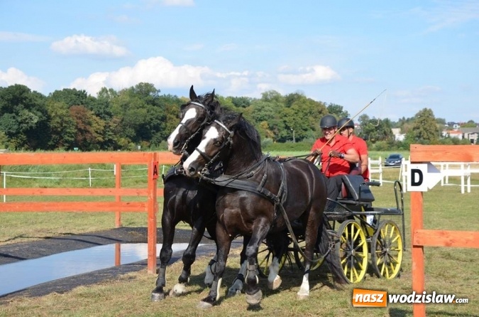 Zdjęcie w galerii na portalu naszwodzislaw.com: Widowiskowe zawody w powożeniu zaprzęgami konnymi za nami wiadomości z regionu