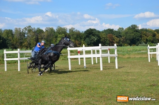 Zdjęcie w galerii na portalu naszwodzislaw.com: Widowiskowe zawody w powożeniu zaprzęgami konnymi za nami wiadomości z regionu