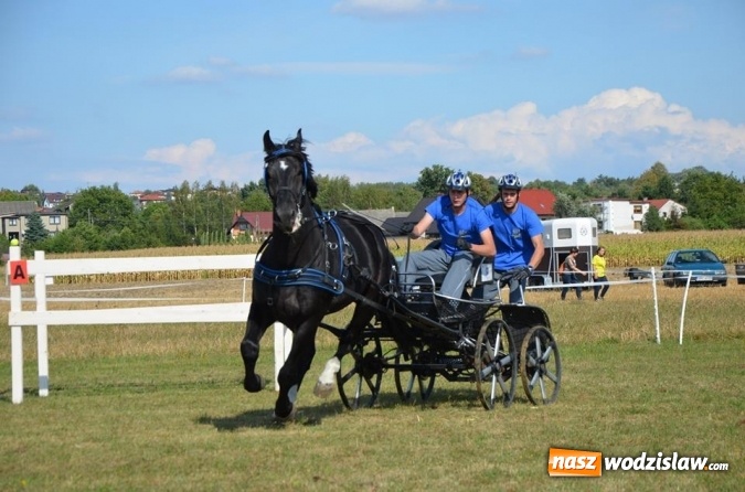 Zdjęcie w galerii na portalu naszwodzislaw.com: Widowiskowe zawody w powożeniu zaprzęgami konnymi za nami wiadomości z regionu
