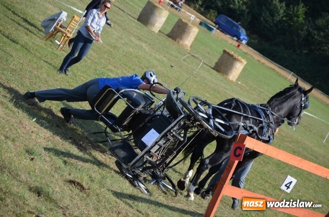Zdjęcie w galerii na portalu naszwodzislaw.com: Widowiskowe zawody w powożeniu zaprzęgami konnymi za nami wiadomości z regionu