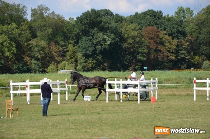 Zdjęcie w galerii na portalu naszwodzislaw.com: Widowiskowe zawody w powożeniu zaprzęgami konnymi za nami wiadomości z regionu