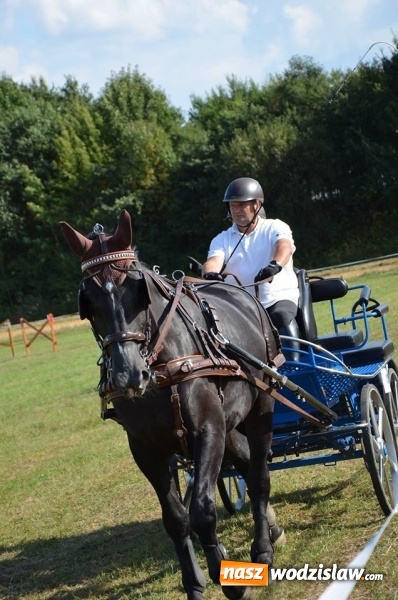 Zdjęcie w galerii na portalu naszwodzislaw.com: Widowiskowe zawody w powożeniu zaprzęgami konnymi za nami wiadomości z regionu