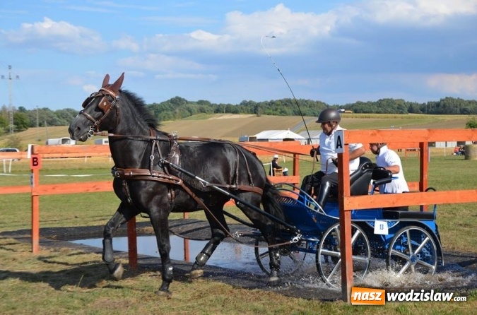 Zdjęcie w galerii na portalu naszwodzislaw.com: Widowiskowe zawody w powożeniu zaprzęgami konnymi za nami wiadomości z regionu
