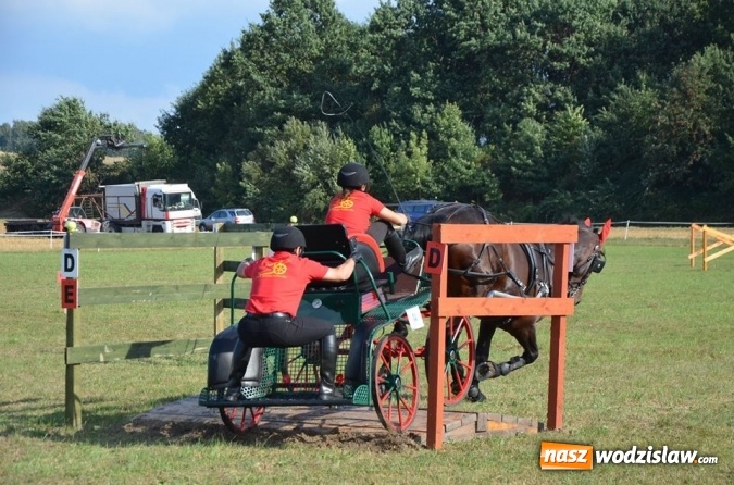 Zdjęcie w galerii na portalu naszwodzislaw.com: Widowiskowe zawody w powożeniu zaprzęgami konnymi za nami wiadomości z regionu
