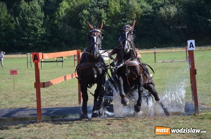 Zdjęcie w galerii na portalu naszwodzislaw.com: Widowiskowe zawody w powożeniu zaprzęgami konnymi za nami wiadomości z regionu