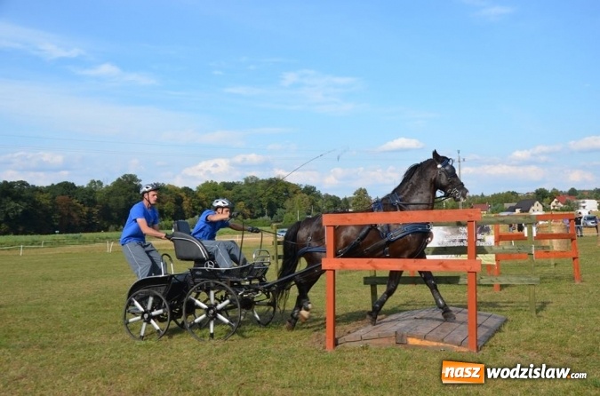 Zdjęcie w galerii na portalu naszwodzislaw.com: Widowiskowe zawody w powożeniu zaprzęgami konnymi za nami wiadomości z regionu
