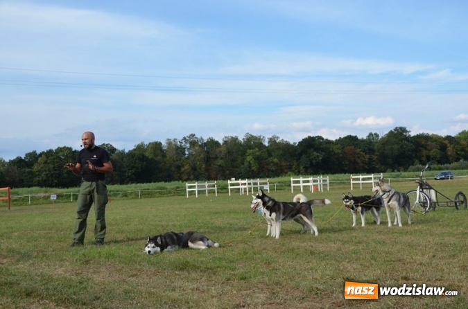 Zdjęcie w galerii na portalu naszwodzislaw.com: Widowiskowe zawody w powożeniu zaprzęgami konnymi za nami wiadomości z regionu