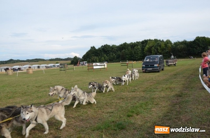 Zdjęcie w galerii na portalu naszwodzislaw.com: Widowiskowe zawody w powożeniu zaprzęgami konnymi za nami wiadomości z regionu