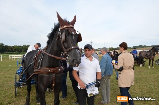 Zdjęcie w galerii na portalu naszwodzislaw.com: Widowiskowe zawody w powożeniu zaprzęgami konnymi za nami wiadomości z regionu