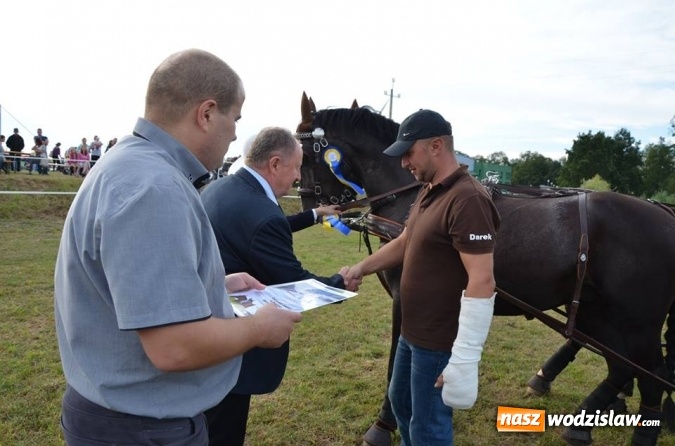 Zdjęcie w galerii na portalu naszwodzislaw.com: Widowiskowe zawody w powożeniu zaprzęgami konnymi za nami wiadomości z regionu
