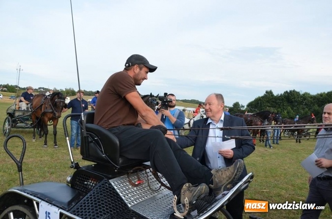 Zdjęcie w galerii na portalu naszwodzislaw.com: Widowiskowe zawody w powożeniu zaprzęgami konnymi za nami wiadomości z regionu