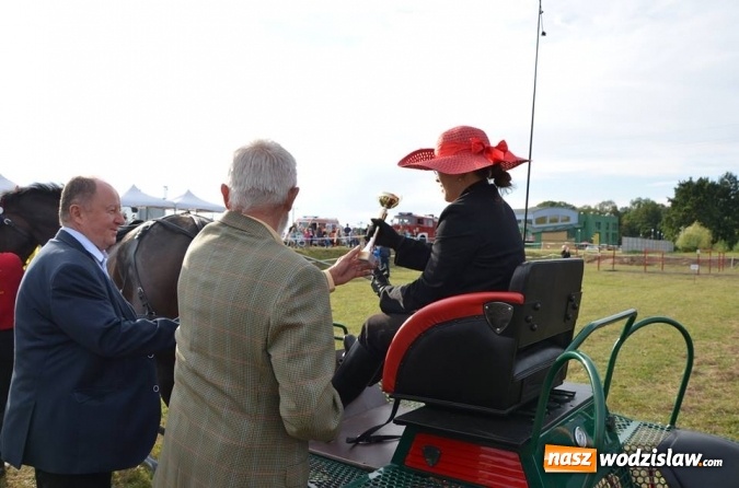 Zdjęcie w galerii na portalu naszwodzislaw.com: Widowiskowe zawody w powożeniu zaprzęgami konnymi za nami wiadomości z regionu