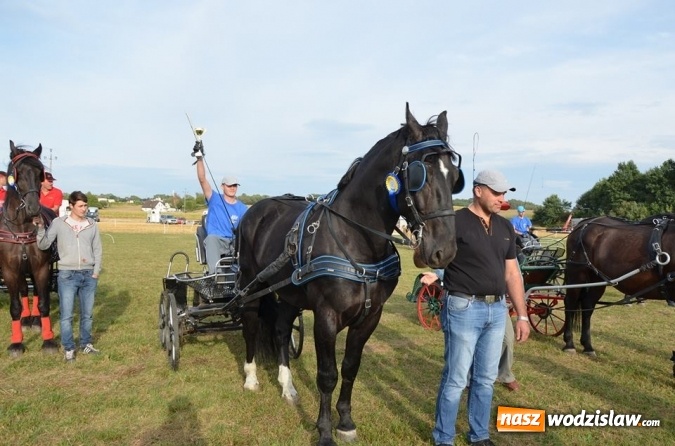 Zdjęcie w galerii na portalu naszwodzislaw.com: Widowiskowe zawody w powożeniu zaprzęgami konnymi za nami wiadomości z regionu