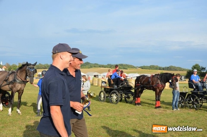 Zdjęcie w galerii na portalu naszwodzislaw.com: Widowiskowe zawody w powożeniu zaprzęgami konnymi za nami wiadomości z regionu