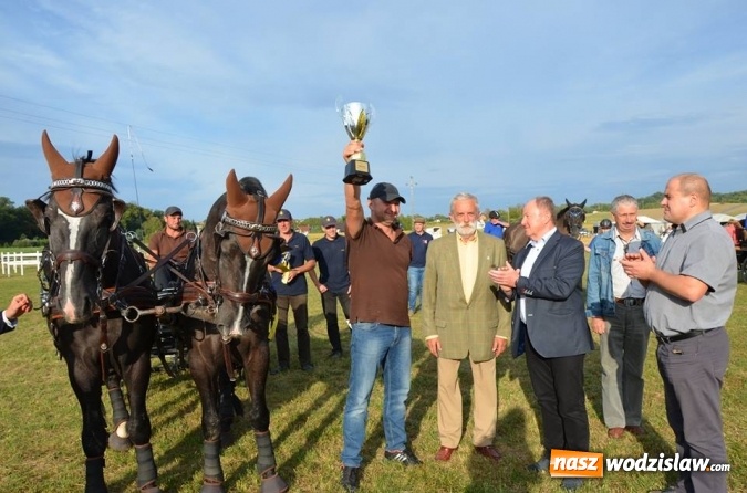 Zdjęcie w galerii na portalu naszwodzislaw.com: Widowiskowe zawody w powożeniu zaprzęgami konnymi za nami wiadomości z regionu