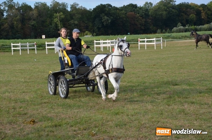 Zdjęcie w galerii na portalu naszwodzislaw.com: Widowiskowe zawody w powożeniu zaprzęgami konnymi za nami wiadomości z regionu