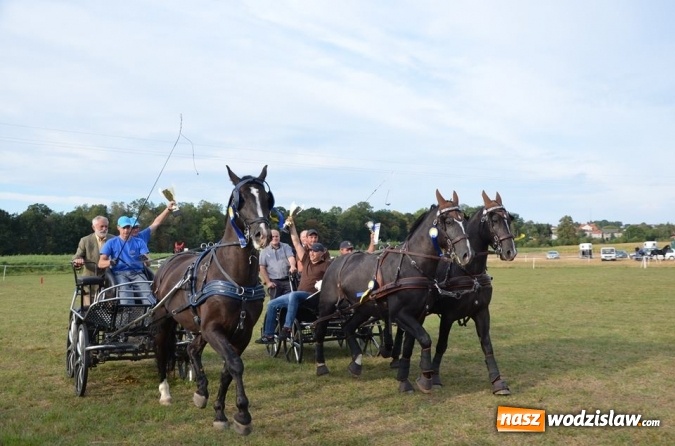 Zdjęcie w galerii na portalu naszwodzislaw.com: Widowiskowe zawody w powożeniu zaprzęgami konnymi za nami wiadomości z regionu
