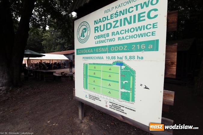 Zdjęcie w galerii na portalu naszwodzislaw.com: Górny Śląsk zmienia swoje oblicze - śluza i lasy w Rudzińcu wiadomości z regionu