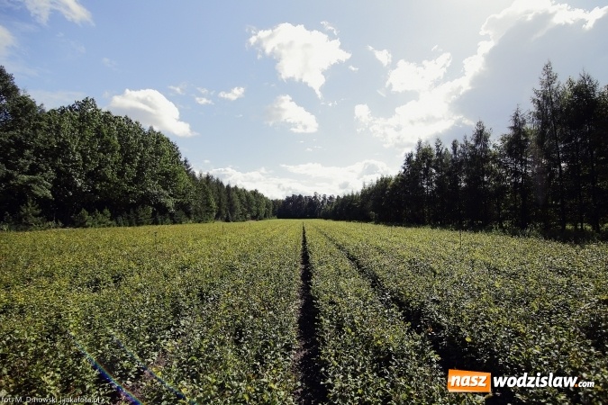 Zdjęcie w galerii na portalu naszwodzislaw.com: Górny Śląsk zmienia swoje oblicze - śluza i lasy w Rudzińcu wiadomości z regionu