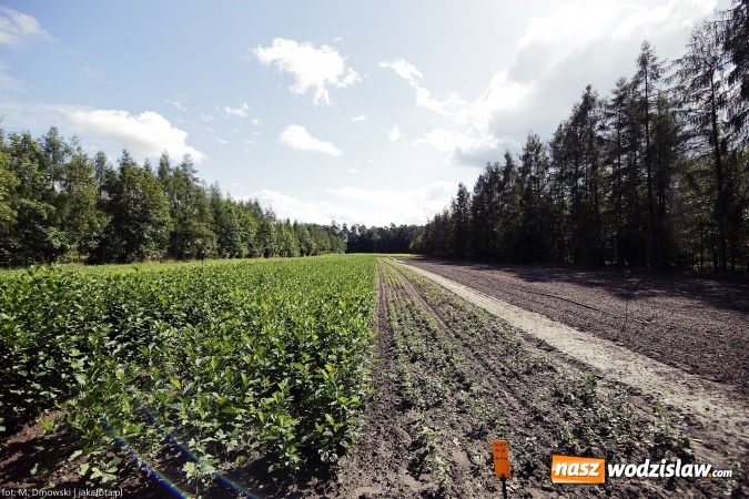 Zdjęcie w galerii na portalu naszwodzislaw.com: Górny Śląsk zmienia swoje oblicze - śluza i lasy w Rudzińcu wiadomości z regionu