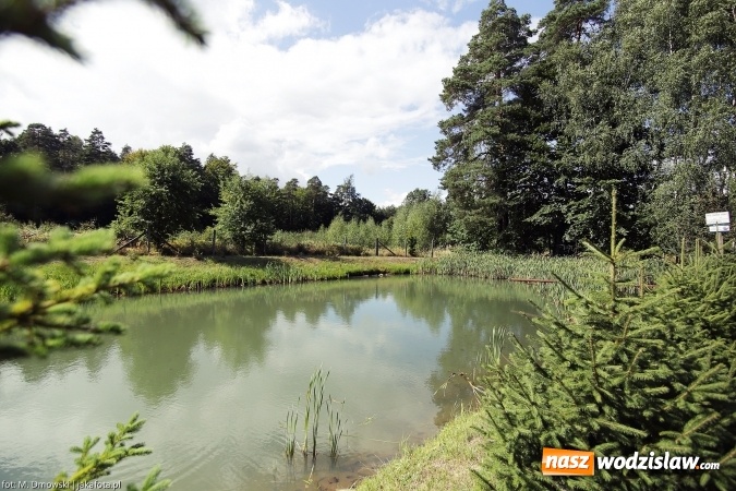 Zdjęcie w galerii na portalu naszwodzislaw.com: Górny Śląsk zmienia swoje oblicze - śluza i lasy w Rudzińcu wiadomości z regionu