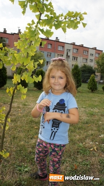 Zdjęcie w galerii na portalu naszwodzislaw.com: Uroczyście świętowali Dzień Przedszkolaka  wiadomości z regionu