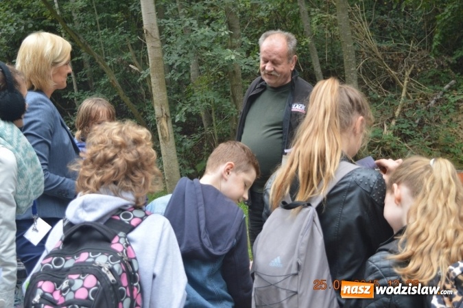 Zdjęcie w galerii na portalu naszwodzislaw.com: Uczniowie SP 28 sprawdzali czy wodzisławianie znają tabliczkę mnożenia  wiadomości z regionu