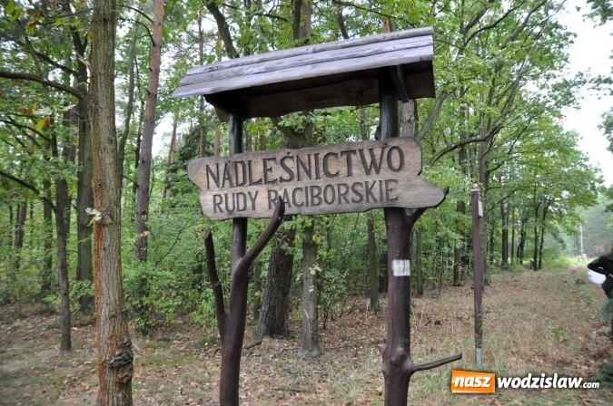 Zdjęcie w galerii na portalu naszwodzislaw.com: Wolność jest w naturze – otwarcie szlaku rowerowego Nadleśnictwa Rudy Raciborskie wiadomości z regionu