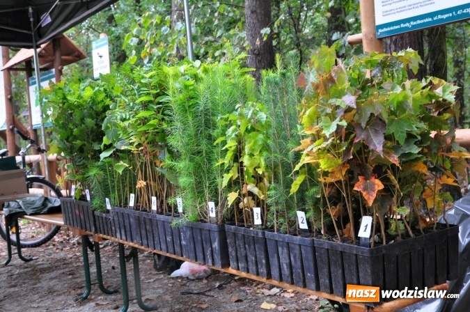 Zdjęcie w galerii na portalu naszwodzislaw.com: Wolność jest w naturze – otwarcie szlaku rowerowego Nadleśnictwa Rudy Raciborskie wiadomości z regionu