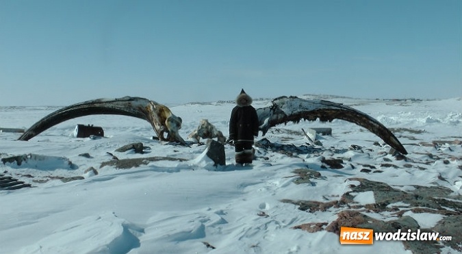 Zdjęcie w galerii na portalu naszwodzislaw.com: Drugi weekend października pod znakiem filmu w Rybniku wiadomości z regionu