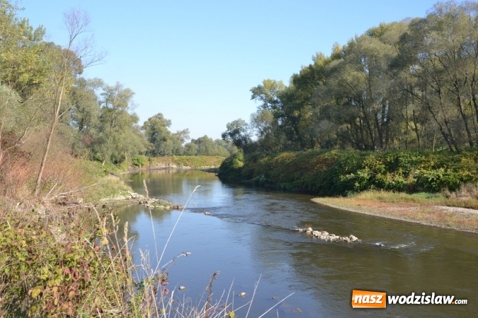 Zdjęcie w galerii na portalu naszwodzislaw.com: Kajaki i pontony do hangarów, czyli finał wodniackiego sezonu na górnej Odrze wiadomości z regionu